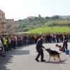 Educazione alla legalità